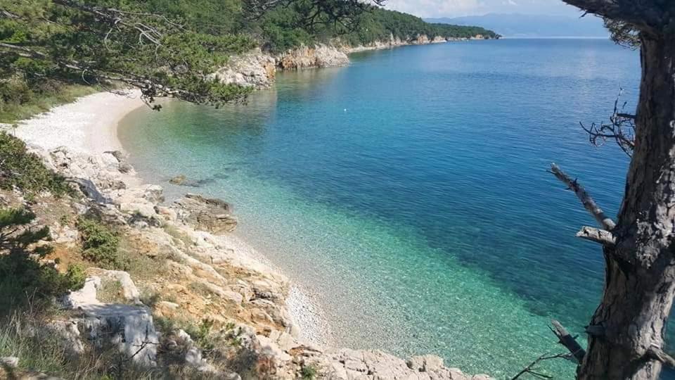 Apartments Adriatic 3 셀스 외부 사진