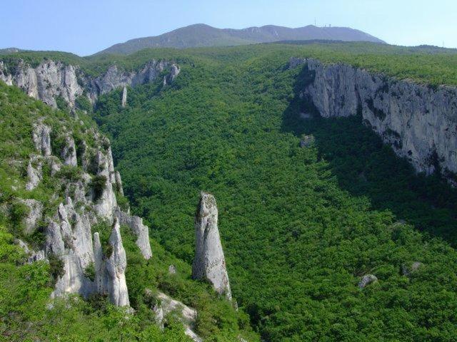 Apartments Adriatic 3 셀스 외부 사진